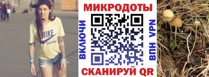Галлюциногенные грибы GOLDEN TEACHER  маркетплейс наркотические препараты  Трубчевск 